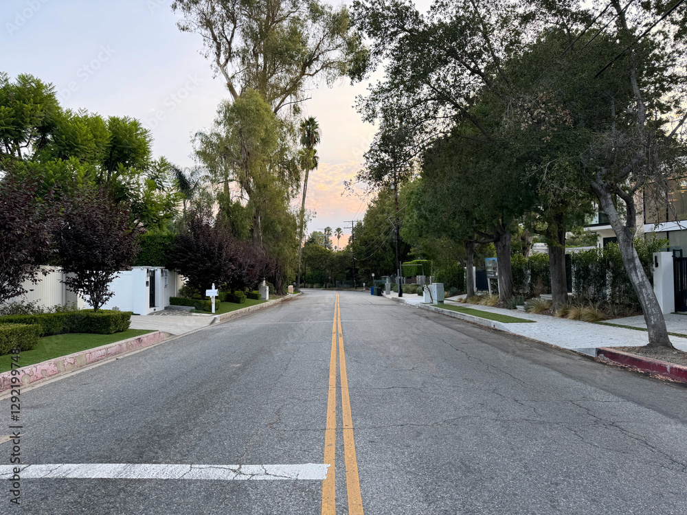 quiet residential street in a local neighborhood - Los Angeles, California, USA quiet residential street in a local neighborhood - Los Angeles, California, USA