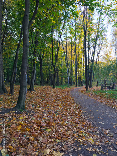 Wallpaper Mural Leaf-strewn forest trail in late autumn Curving woodland path carpeted with fallen leaves, flanked by tall trees glowing in autumn tones. Torontodigital.ca