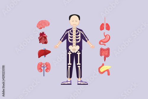 Human body anatomy concept. Colored flat vector illustration isolated