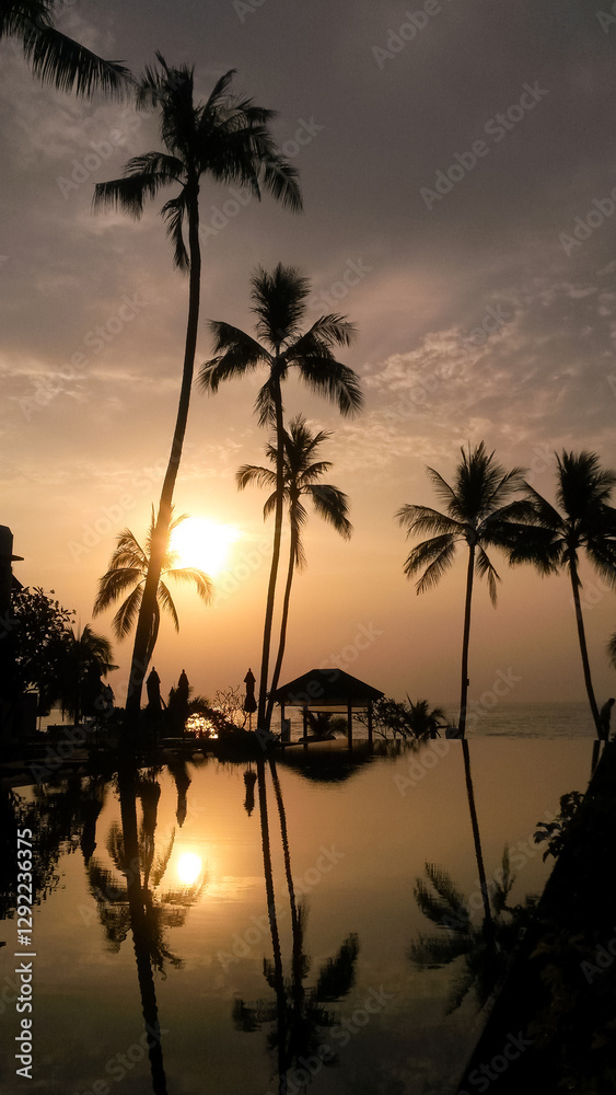 Obraz premium beautiful large tropical palm trees grow on the coast