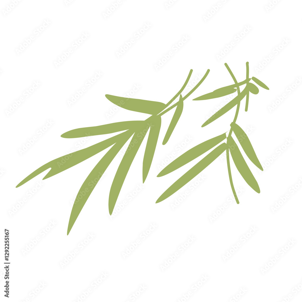 Obraz premium Green bamboo leaf