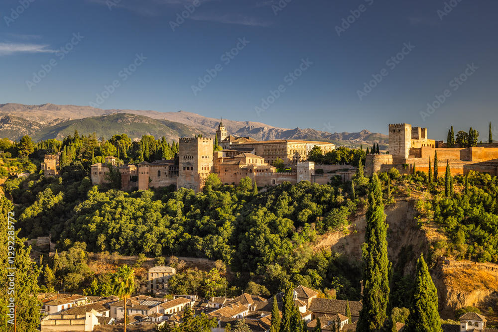 Fototapeta premium Panorama of Alhambra from the Mirador de San Nicolas viewpoint in Granada town in Spain at sunset. Ancient palace nestled in a lush green hill, overlooking a town and mountain range under a blue sky.