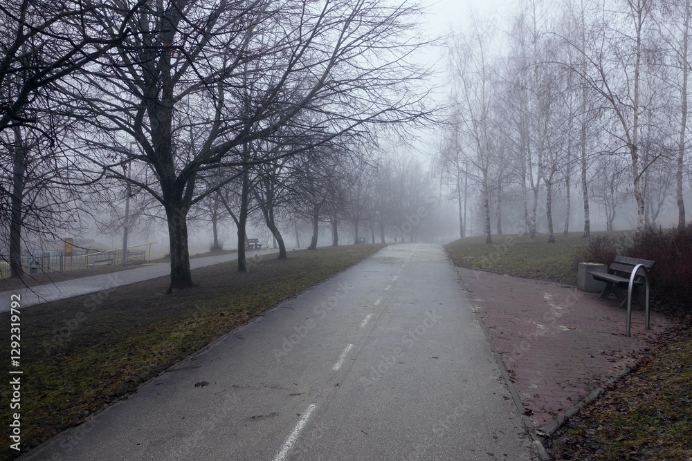 Fototapeta premium Park in the morning on a foggy February day, view of the bicycle path among the trees.