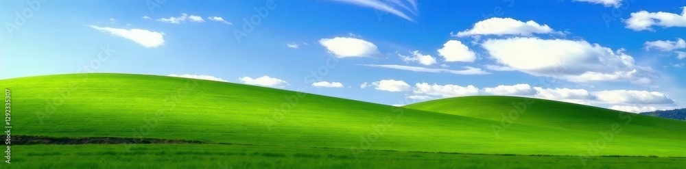 Rolling hills of emerald grass meet a boundless azure sky , sky, meadow Rolling hills of emerald grass meet a boundless azure sky , sky, meadow