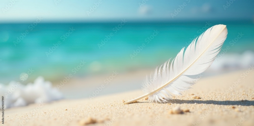 Single white feather on sandy beach, turquoise water visible , sun, feather, calm Single white feather on sandy beach, turquoise water visible , sun, feather, calm