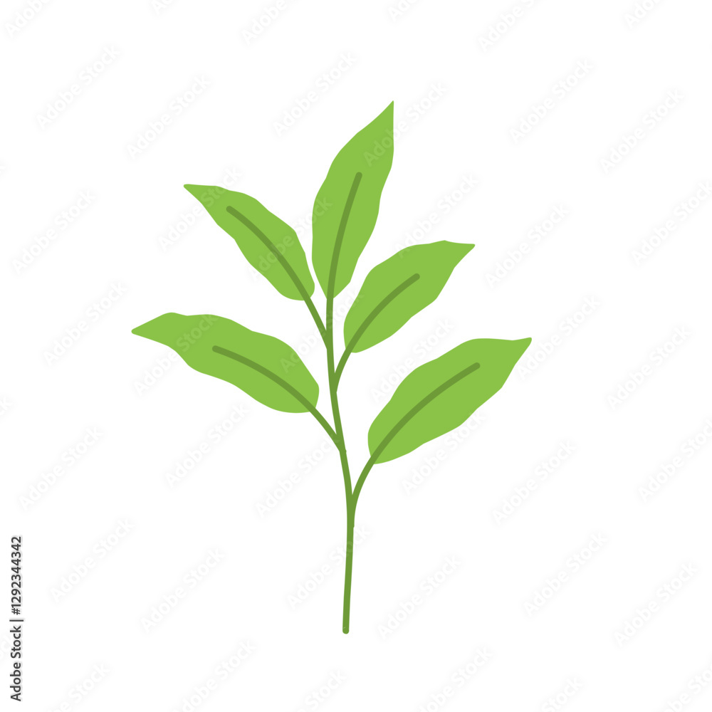 Fototapeta premium Simple Green Leaf Illustration