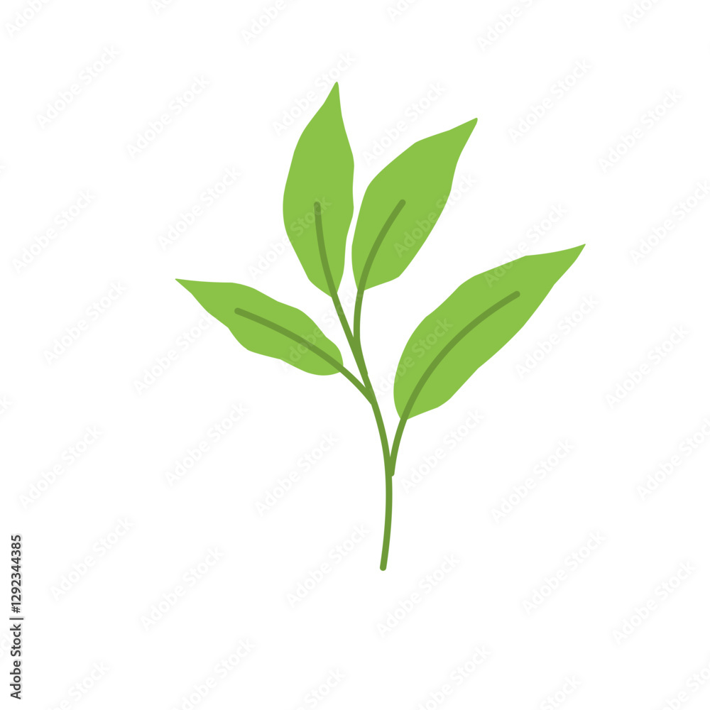 Fototapeta premium Simple Green Leaf Illustration