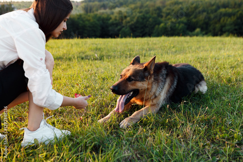 Young woman crouching on grassy field is training her german shepherd dog using positive reinforcement, offering treat in her hand, with forest in background