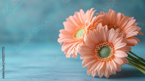 Peach Gerbera Bouquet on Teal Background