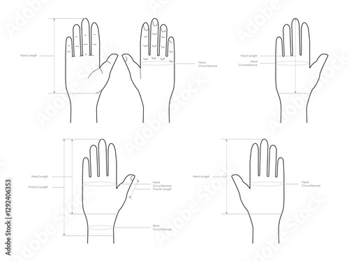 Set of Diagrams of measuring hands for Gloves, mittens, mitts Fashion accessory clothing technical illustration. Vector for Men, women, flat template CAD cartoon style isolated on white background