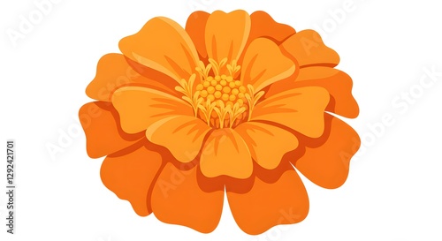 Vibrant Orange Marigold Flower Illustration on White Background for Springtime Designs