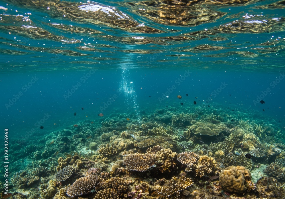 Obraz premium Underwater Coral Scene