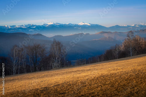 Hills and forest with snowy mountains in the background.