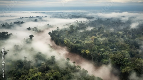 Vista aérea de uma floresta tropícal úmida, envolta em nevoeiro.