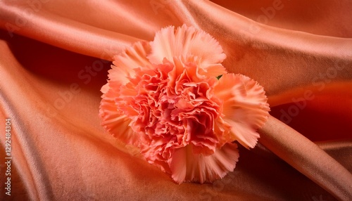 Orange Carnation Flower on a Draped Soft Orange Silk Fabric