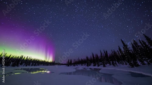Northern lights with vibrant purple and green hues over snowy landscape, starry night sky. Natural wonder and aurora borealis spectacle