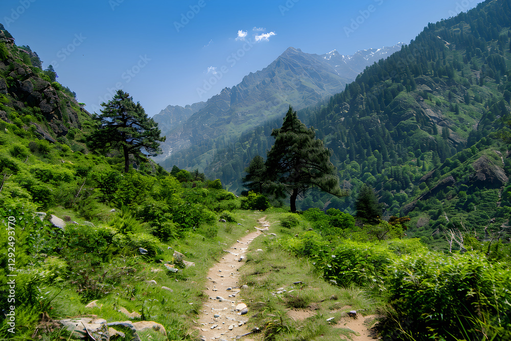 Enthralling Hiking Trail Towards Alpine Peaks Under a Clear Blue Sky: An Adventure Awaits