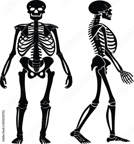 Skeleton Silhouette Black and White