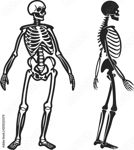 Skeleton Silhouette Black and White