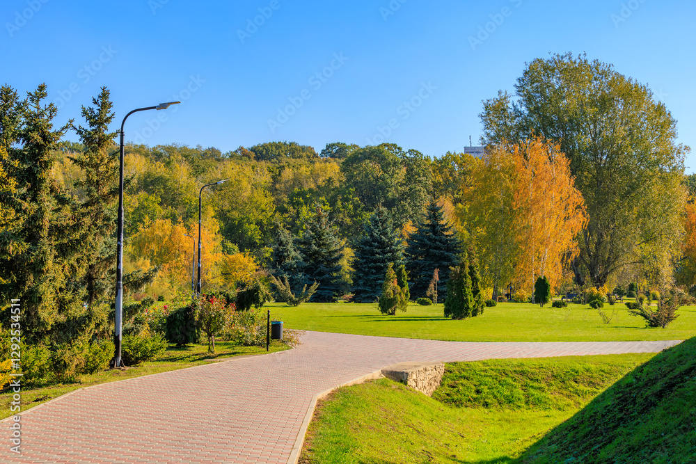 A park with a brick walkway and trees A park with a brick walkway and trees