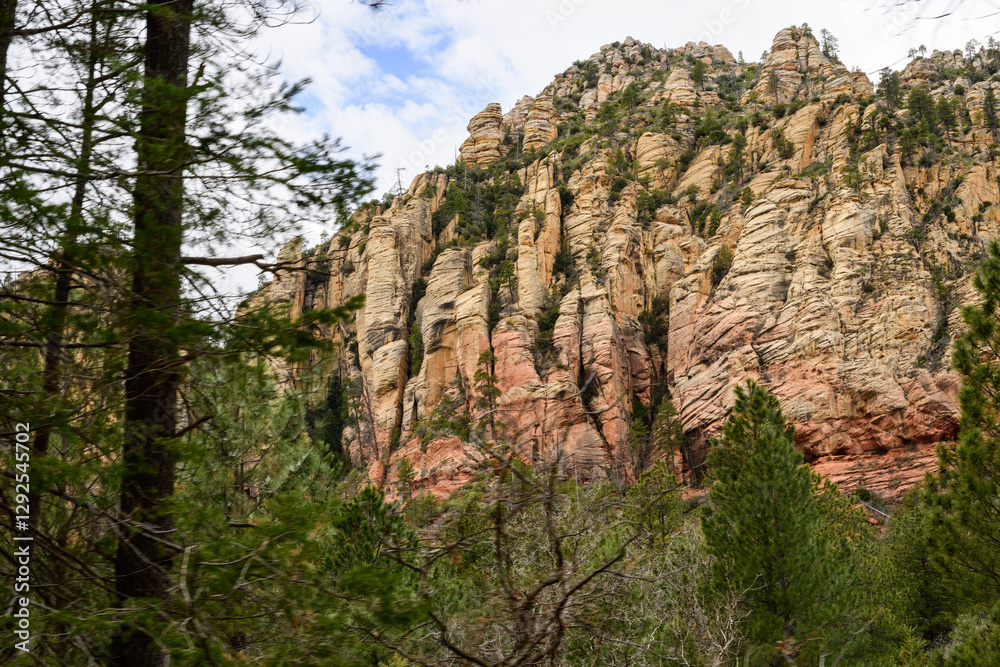 Red Rock Hillside with green trees Sedona Arizona Red Rock Hillside with green trees Sedona Arizona