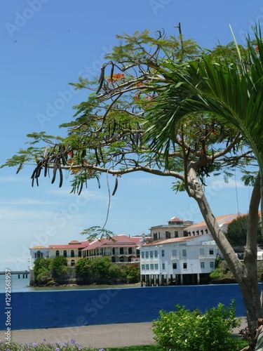 FUNERTE AMADOR, PANAMA - MAY 8, 2022 - Lush tropical foliage frames the historic casco viejo district along the panama canal, showcasing the vibrant cityscape against a clear blue sky