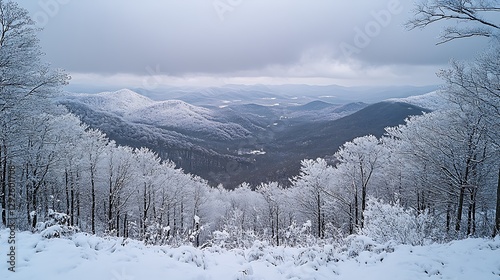 Snowy Mountain Valley Vista photo