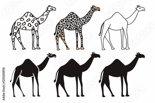 Photography set of Camel Giraffe silhouette vector illustration