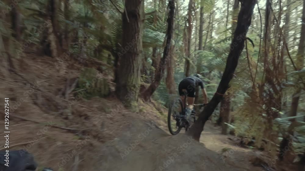 Cyclist navigates a challenging forest trail. Adventure in the woods. Whakawerawera Forest, Rotorua, NZ Cyclist navigates a challenging forest trail. Adventure in the woods. Whakawerawera Forest, Rotorua, NZ
