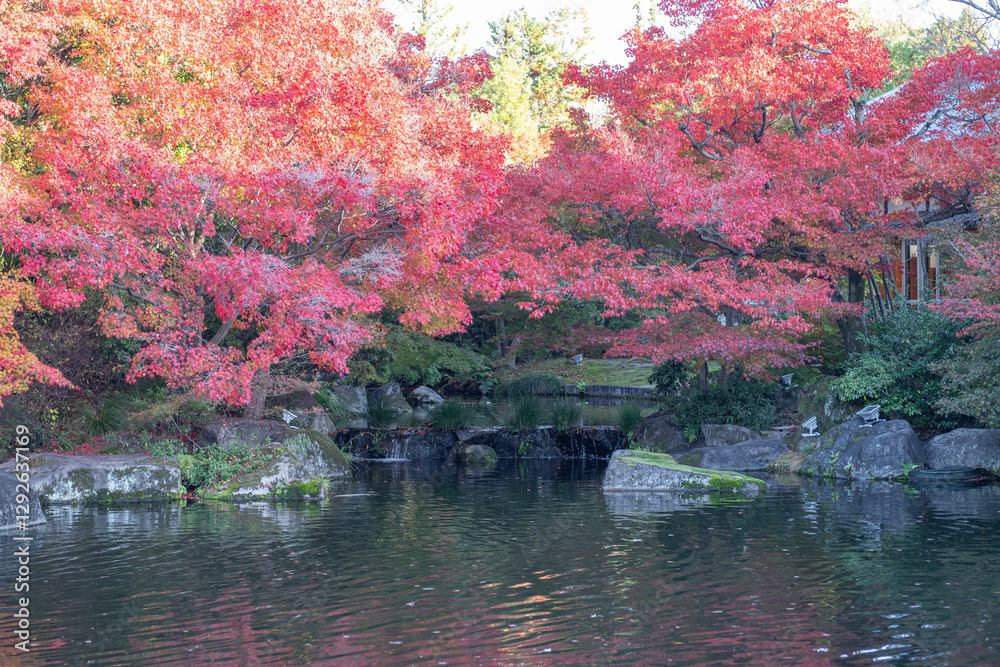 Vibrant autumn foliage reflected in calm water at Kokoen Garden ,Himeji, Japan Vibrant autumn foliage reflected in calm water at Kokoen Garden ,Himeji, Japan