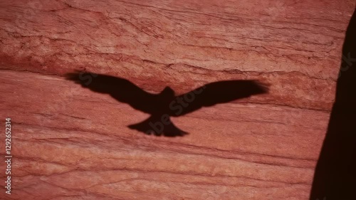 A dramatic shadow of a bird in flight is cast on a textured red rock surface, creating a striking contrast in warm light.