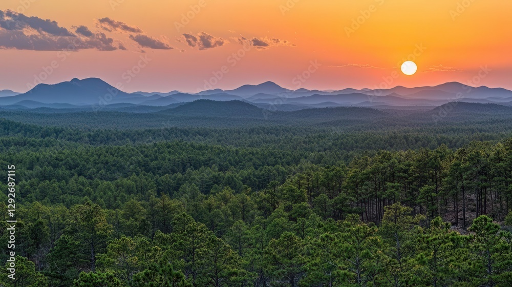 Obraz premium Serene Sunset Over Rolling Hills and Vast Forest