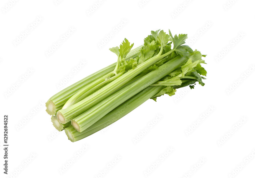 Fresh Celery PNG Transparent Vegetable Image Download Fresh Celery PNG Transparent Vegetable Image Download
