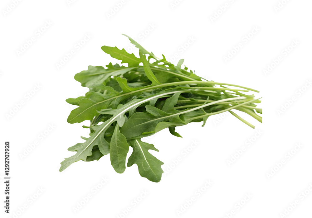 Healthy Farm Arugula Fresh Vegetable Image for Food and Nutrition Healthy Farm Arugula Fresh Vegetable Image for Food and Nutrition