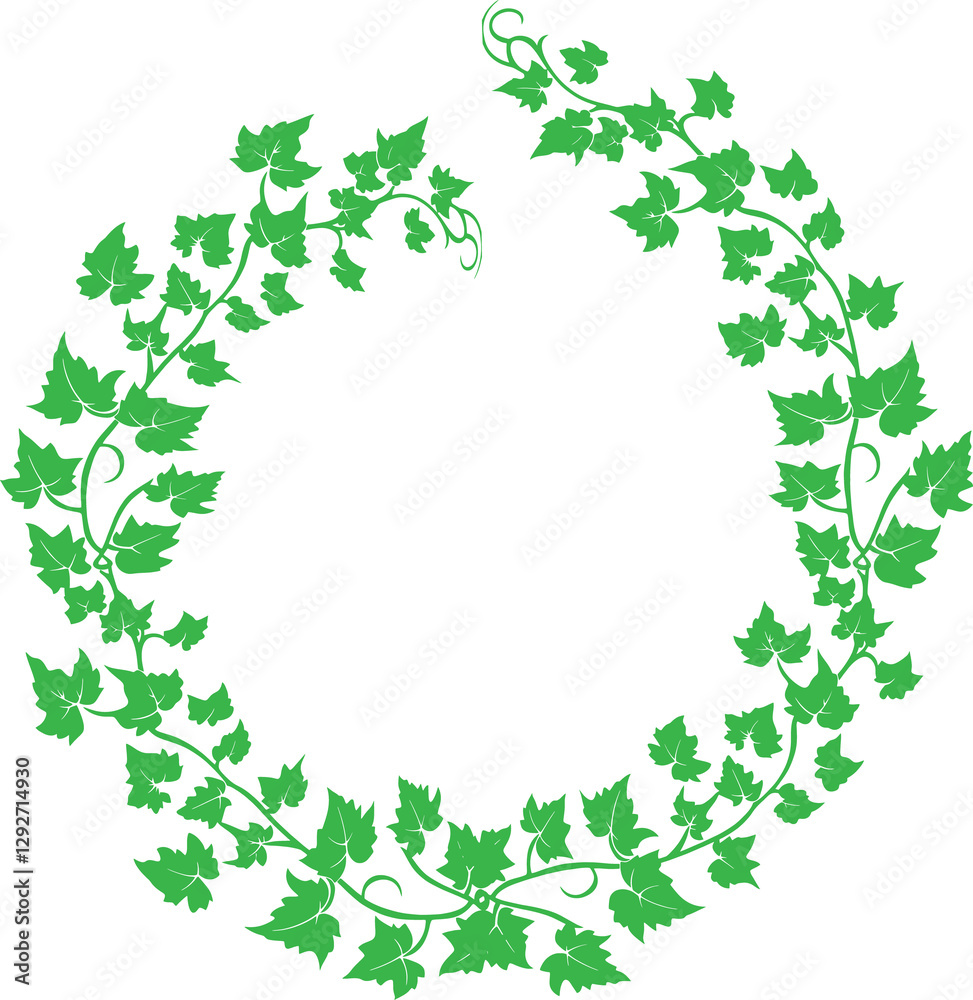 Green ivy vine frame Green ivy vine frame