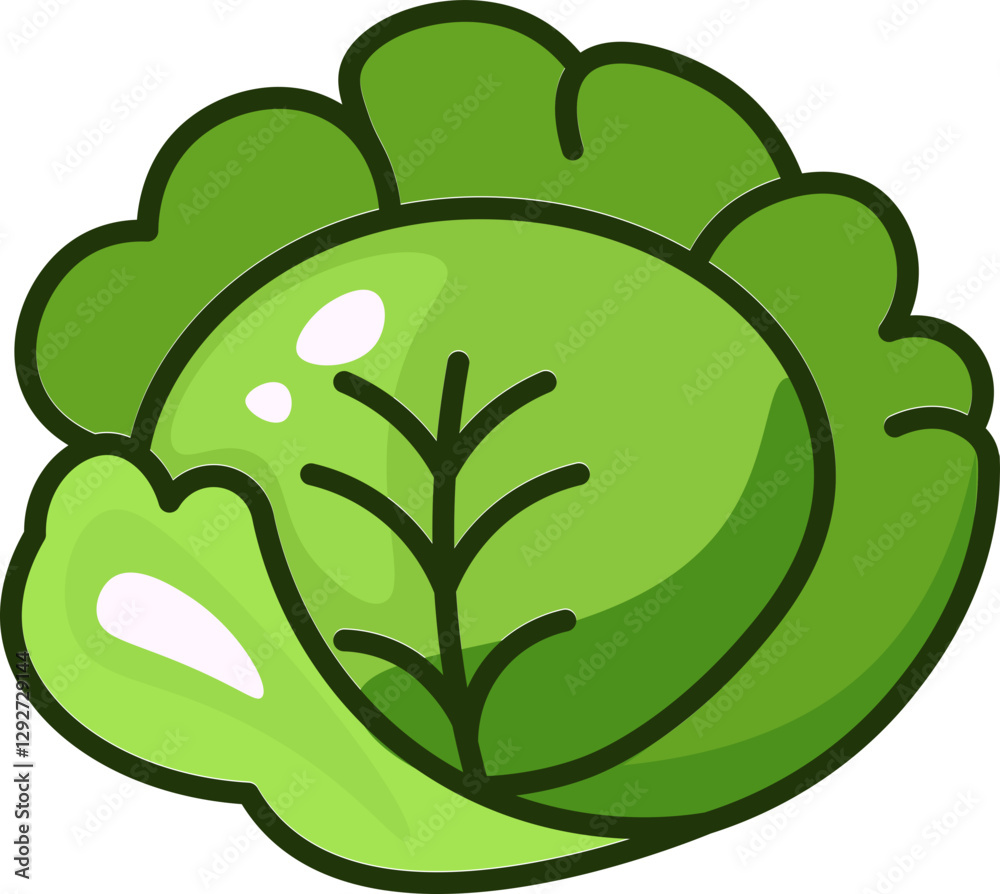 Cabbage - Fresh and Healthy Vegetable Colored Outline Icons Cabbage - Fresh and Healthy Vegetable Colored Outline Icons