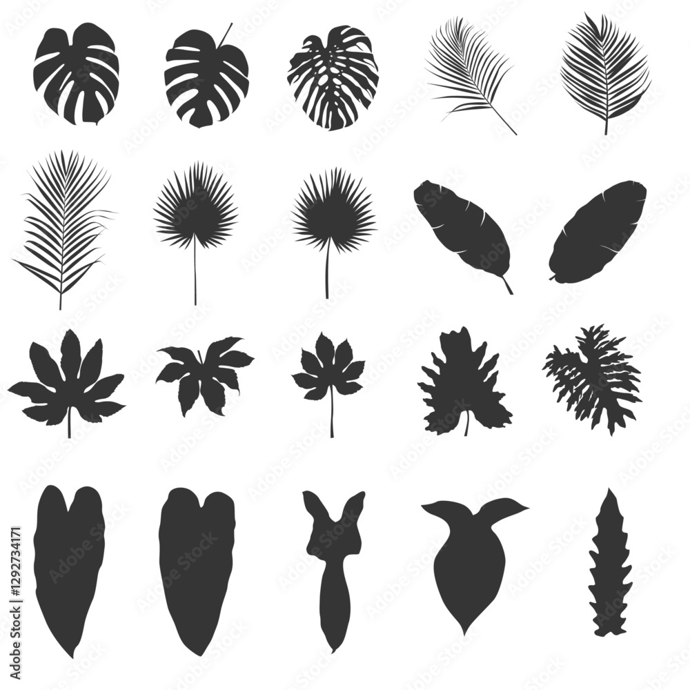 Obraz premium set tropical leaf silhouette illustration