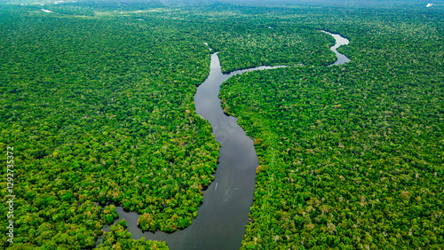 Aerial View of the Lush Amazon Rainforest with Meandering River in the Heart of the Amazon Basin