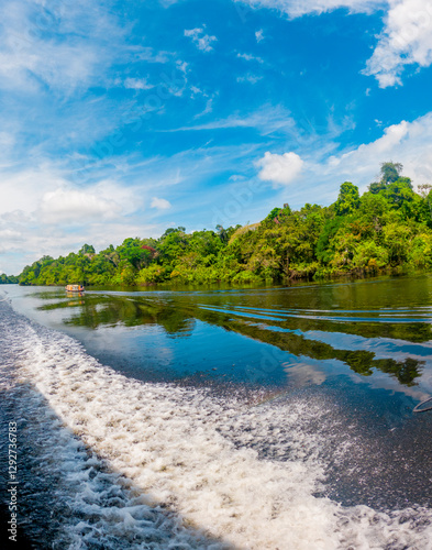 Exploring the Lush Serenity of the Amazon Rainforest in Colombia