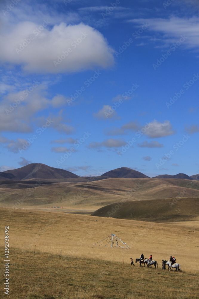 snow-capped mountains and marshlands snow-capped mountains and marshlands