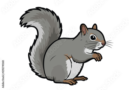 Grey squirrel clip art. A cute grey squirrel with a bushy tail and white belly, standing on its hind legs. Vector illustration design.