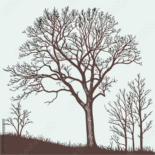 winter trees silhouettes collection set of isolat 