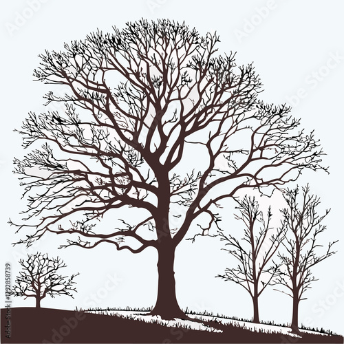 winter trees silhouettes collection set of isolat 