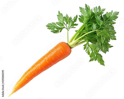 A vibrant orange carrot with lush green leaves still attached, freshly pulled from the soil,