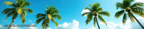 Wallpaper Mural Lush palm trees sway gently under a vibrant blue sky , tropics, tranquil, flora Torontodigital.ca