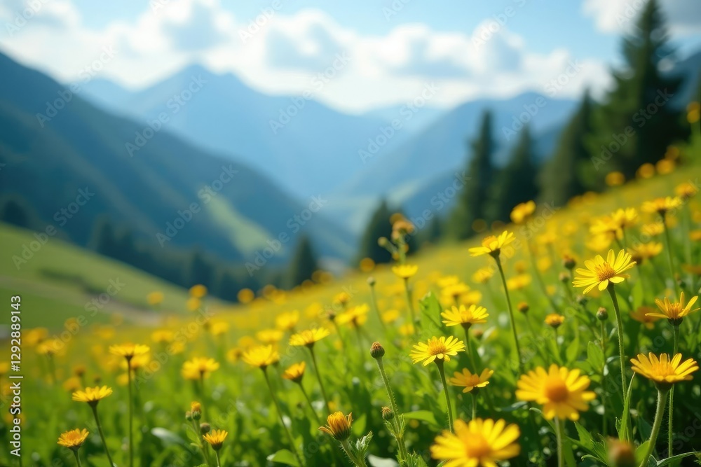 Soft petals of yellow wildflowers sway in the gentle mountain breeze,, nature Soft petals of yellow wildflowers sway in the gentle mountain breeze,, nature