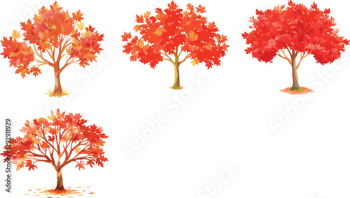 High quality autumn tree red maple tree in a serial watercolor vector art set