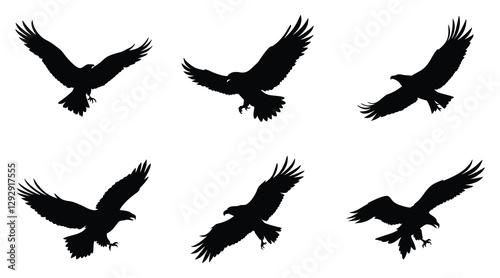 Eagle Silhouettes - Black Flying Bird of Prey Vector Clipart Set