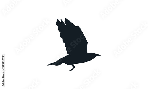 Flying African golden oriole bird Silhouette Design  And Vector Illustration. 
