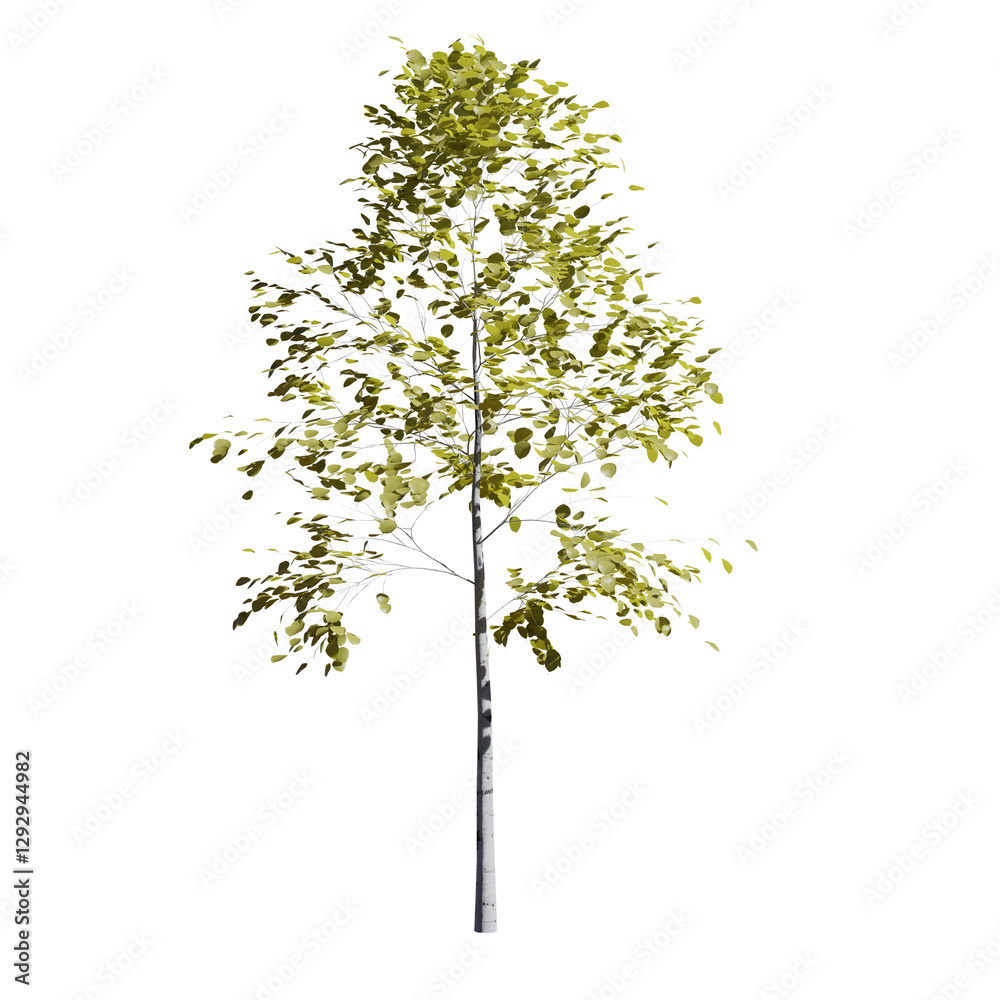 Fototapeta premium Beautiful garden plant 